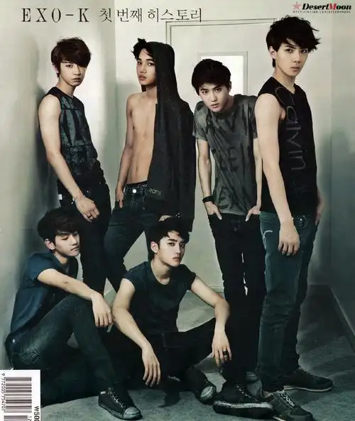 求这四张关于exo-k ck代言的高清高清原图啊!感激不尽