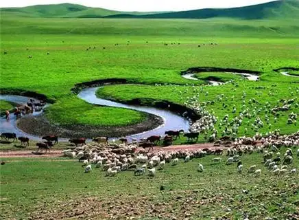 希拉穆仁草原旅游_希拉穆仁草原旅游景区景点_希拉穆仁草原旅游行程