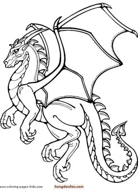 火龙巨龙飞龙西方龙东方龙恐龙卡通儿童填色大全-红豆饭小学生简笔画