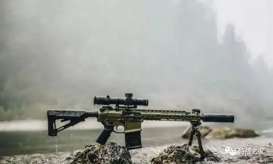 怎样自己组装一把ar15突击步枪