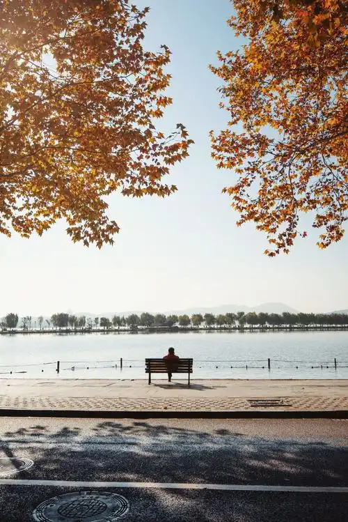 高清杭州白堤图片白堤旅游景点真实照片风景