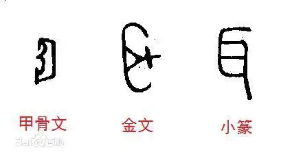 金字甲骨文简笔画