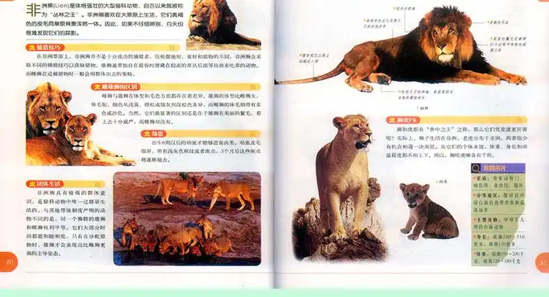 少年儿童动物百科全书 小学生课外读物正版科普童书 经典百科知识图书