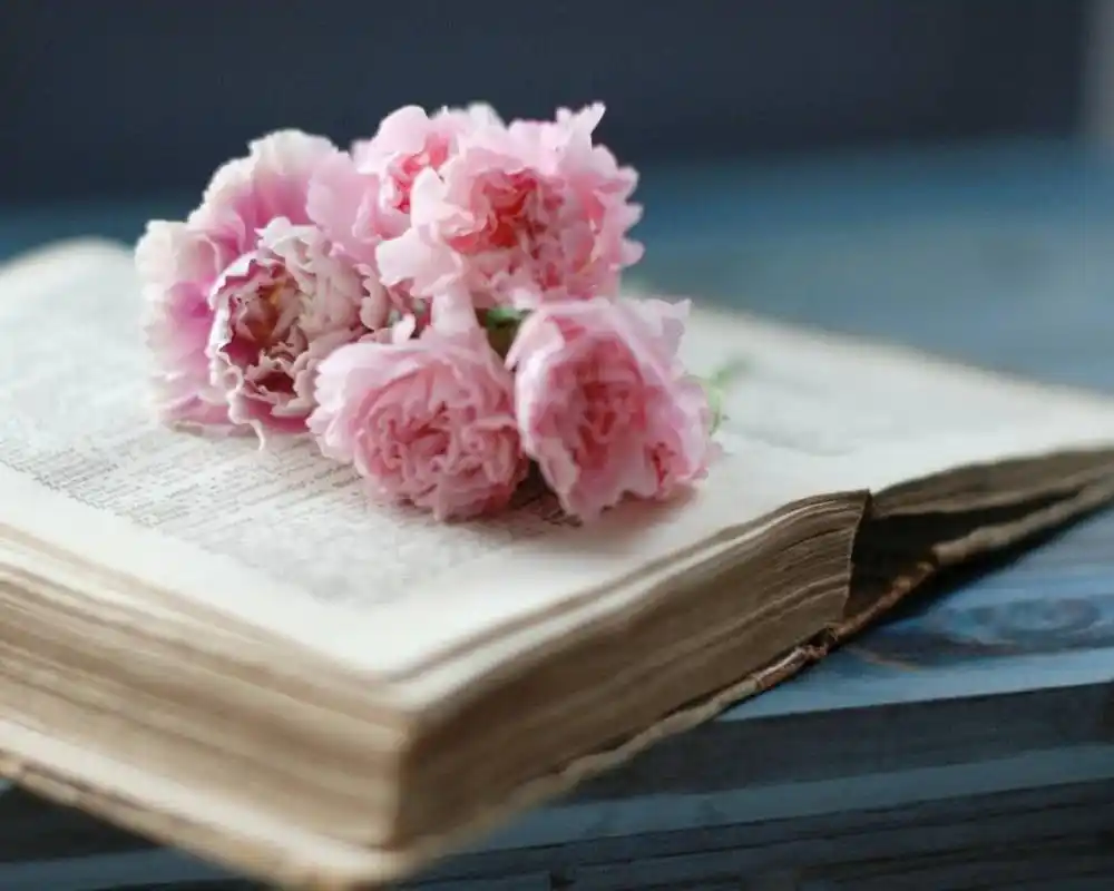 唯美书籍与鲜花高清电脑壁纸图片下载书鲜花花瓣花卉