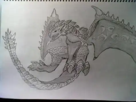 火龙的简笔画集