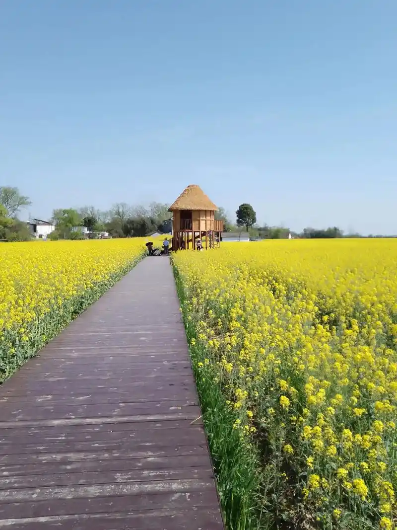 美丽乡村振兴潜山市农村人居环境风景优美!